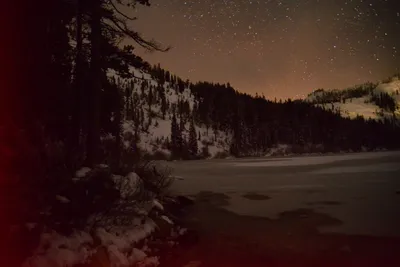 DSC_5987 (Large).JPG